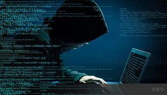 黑客爆料视频网站入口,黑客曝光神秘视频网站入口，带你领略暗网世界